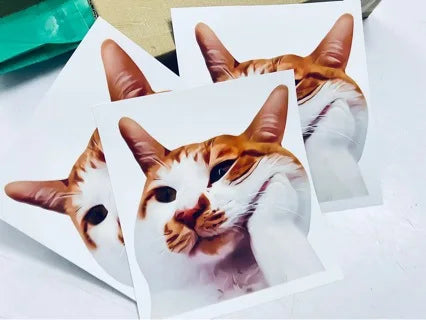 Cat and puppy sticker pack for electric car, car window glass decals, funny cartoon kitten and puppy car stickers for back windo