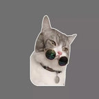 Cat and puppy sticker pack for electric car, car window glass decals, funny cartoon kitten and puppy car stickers for back windo