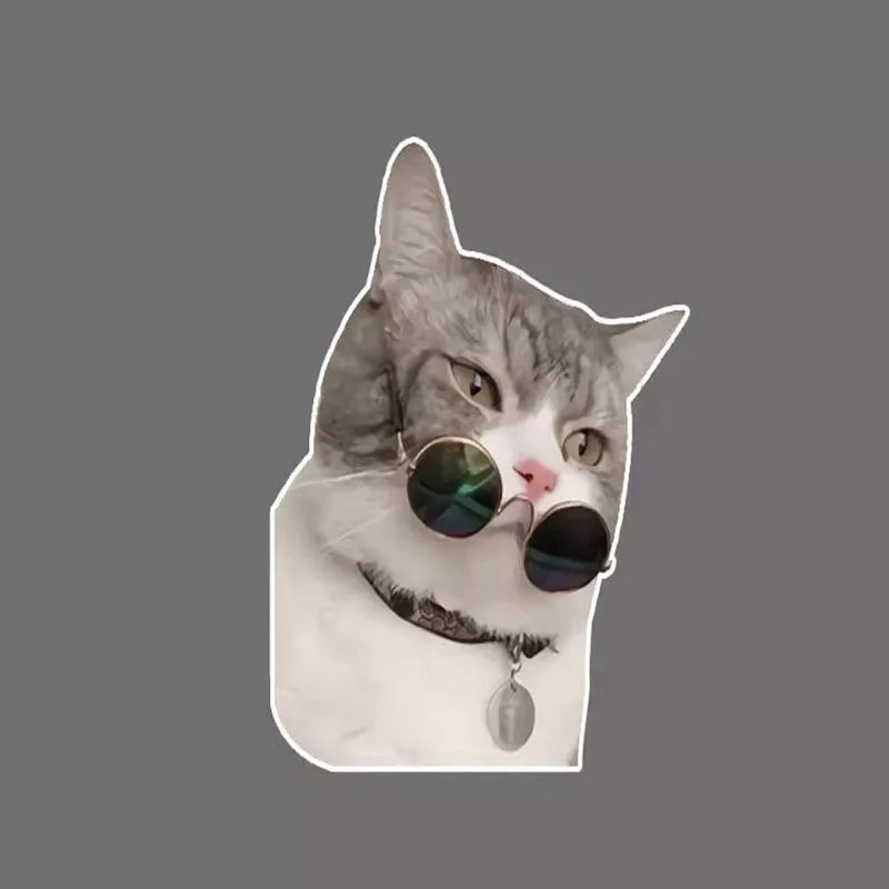 Cat and puppy sticker pack for electric car, car window glass decals, funny cartoon kitten and puppy car stickers for back windo