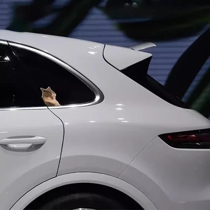 Cat and puppy sticker pack for electric car, car window glass decals, funny cartoon kitten and puppy car stickers for back windo