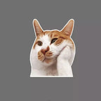 Cat and puppy sticker pack for electric car, car window glass decals, funny cartoon kitten and puppy car stickers for back windo