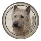 Cat and puppy sticker pack for electric car, car window glass decals, funny cartoon kitten and puppy car stickers for back windo